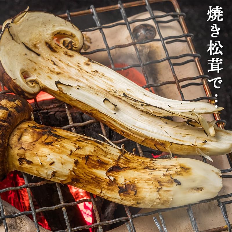 Amazon.co.jp: [みさわのやさい] 松茸 訳あり 家庭用 中国産 マツタケ